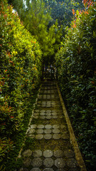 Obraz premium green space in park and garden