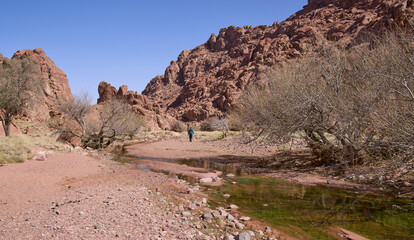 Male tourist on a hiking trail in a valley among red mountains in the high mountains region, the Southern Sinai, Egypt. Small creek flowing in the valley. Vacation in Sinai.