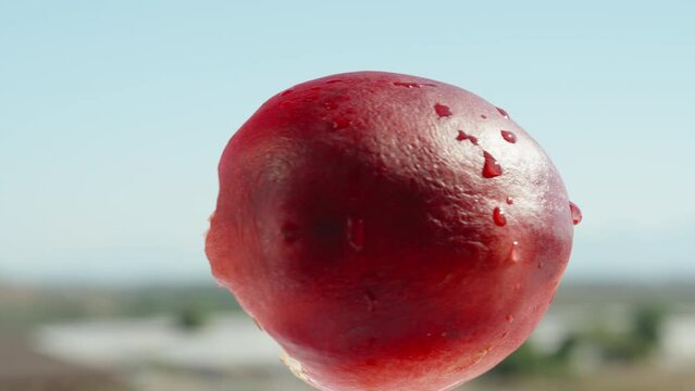 A bitten nectarine in close-up, rotating against a blue sky background.