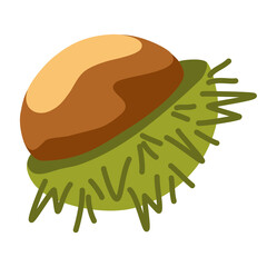Chestnut. Organic food. Design elements for fabric, poster, packaging, banner and wrapping paper. Chestnut vector isolated icons.