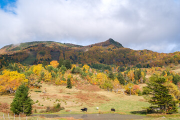 笠ヶ岳の紅葉