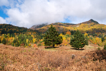 笠ヶ岳と山田牧場
