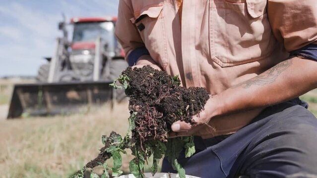 Farmer holding compost dirt with vegetable food waste, red wiggler worms vermicompost