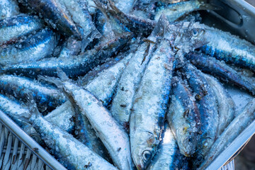 Selective focus Sardines marinated with salt for grilling, beach food concept