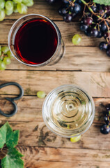 Glasses of red and white wine.