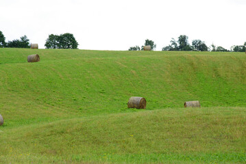 beautiful green meadow with hay rolls and bushes on a sunny summer day