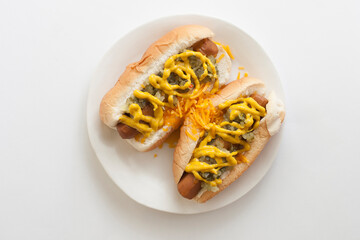 Two Plant-Based Vegetarian Veggie Hot Dogs