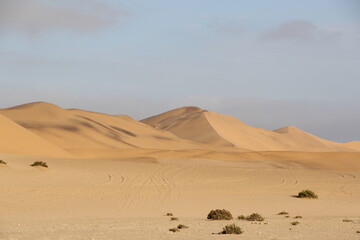 Fototapeta na wymiar Sand dunes in the Namib Desert, Namibia, Southern Africa.