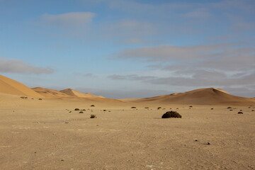Fototapeta na wymiar Sand dunes in the Namib Desert, Namibia, Southern Africa.
