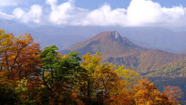 小谷村の紅葉