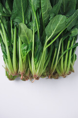 Obraz premium 시금치