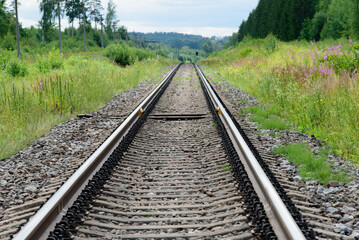 Fototapeta premium beautiful railroad tracks leading into the distance with green grass and trees along the sides