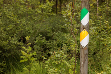 path sign in the forest
