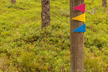 path sign in the forest