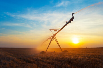 Fototapeta na wymiar Agricultural irrigation system watering wheat field on hot dry summer day during drought