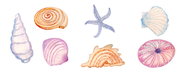 Watercolor set of sammer shells and starfish