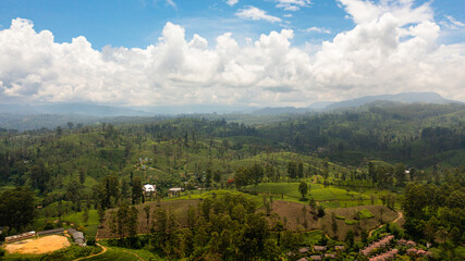 Fototapeta na wymiar Aerial view of Tea plantations in Sri Lanka. Mountain landscape with tea estate.