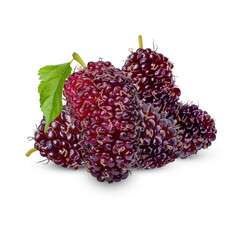 Fresh mulberry with leaves isolated on white background