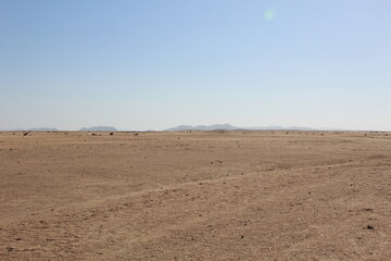 Namib Desert, Namibia, Southern Africa.