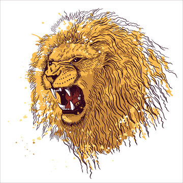 How to Draw a Lion Roaring - HelloArtsy
