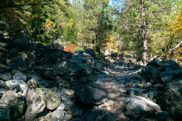 Mountain forest with stones in autumn. Mountain road in the forest. Journey through the Svaneti forests. Beautiful mountain landscape.