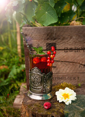 tea with berries in a glass cup against the backdrop of a summer sunny garden. summer still life with tea. concept summer, garden, relaxation, tea drinking, herbal tea, tea with berries