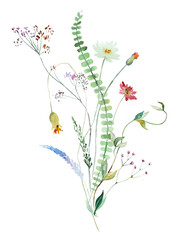 Bouquet made of watercolor wildflowers and leaves, wedding and greeting illustration