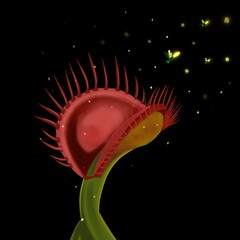One Venus flytrap with the fireflies. - obrazy, fototapety, plakaty