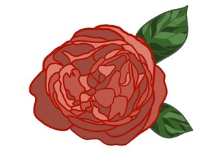 Red rose with leaves. Very beautiful amazing magnificent  flower and flora - rose