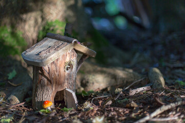 A handmade magical wooden fairy house in the woods bathed in glorious autumn sunlight