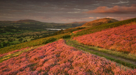 Bassenthwaite Lake from Ling Fell