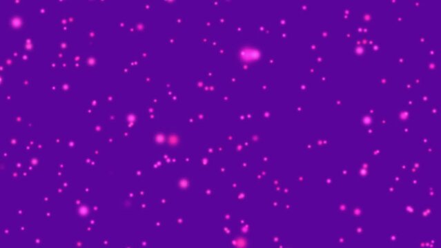 Bright sparkle background. Falling shiny pink confetti on violet backdrop. Festive seamless animation. Starry colorful banner and presentation template. Glowing bubbles decoration. Club event layout