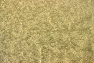 Golden sandy background for layout and design