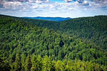 A picturesque view from the trail of Jaworzyna Krynicka in the Low Beskids Mountains. Various shades of green of the trees against the blue overcast sky.