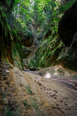 The fairy-tale Witches' Gorge emerging from the forest located on the northern slopes of Skała...