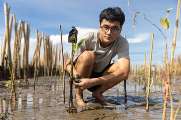 Asian teenage boy volunteer to reforest mangrove forest rehabilitation sitting among cud soil and planting you tree. - obrazy, fototapety, plakaty