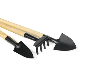 Home plant transplant tools. Set of gardening tools shovel, rake, scoop isolated on white background. Transplanting home plants concept. Copy space. .