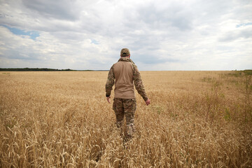 Ukrainian military man in wheat field. Ukrainian wheat fields and war upcoming food crisis. Armed...