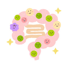 理想のバランスの腸内細菌