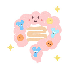 ビフィズス菌と腸内