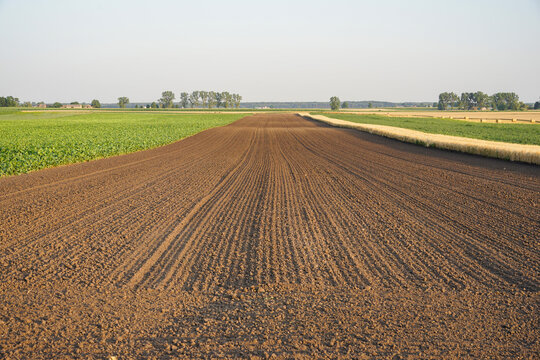 Zaorane pole gotowe pod owe uprawy