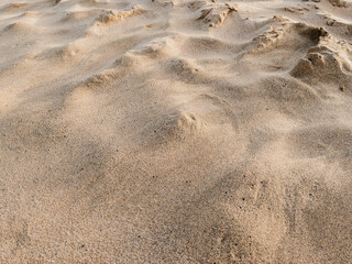 sand beach texture with relief