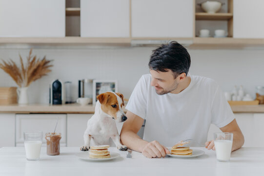 Image of brunet unshaven European man spends free time together with pedigree dog, eat pancakes in kitchen, enjoys sweet dessert, dressed casually. Breakfast, family, animals and eating concept