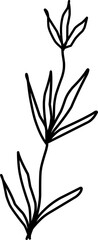 Foliage Illustration, Leaves, Leaf Illustration. Hand-drawn doodles illustration.
Line art