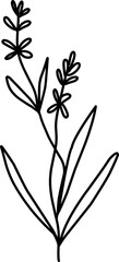 Wildflowers Illustration, Field Flowers Illustration. Hand-drawn doodles illustration.
Line art