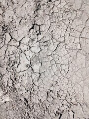 The texture of cracked earth. Abstract background of gray ground.