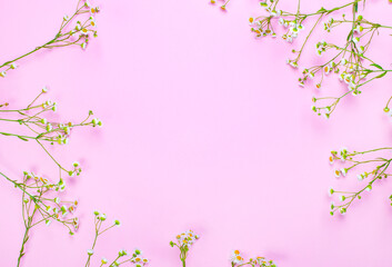 Plakat White pharmacy daisies with stems on a light pink background with space to insert text. Copy space