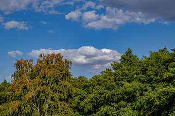 Blue sky with clouds over trees and mountains. Landscape