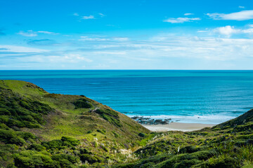 Fototapeta premium Looking across lush green of seaside hills and a narrow sand beach below. South Head facing Tasman Sea, Hokianga, Northland, New Zealand