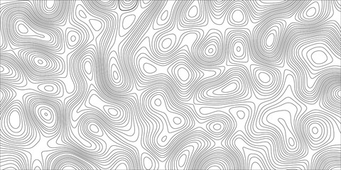 Abstract design with black and white abstract background . Topography map concept. 3d rendering . Creative and similar design with white and black tone paper cut wave curve with blank space design .